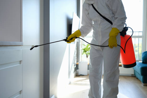 Best Attic Mold Removal  in Sixteen Mile Stand, OH