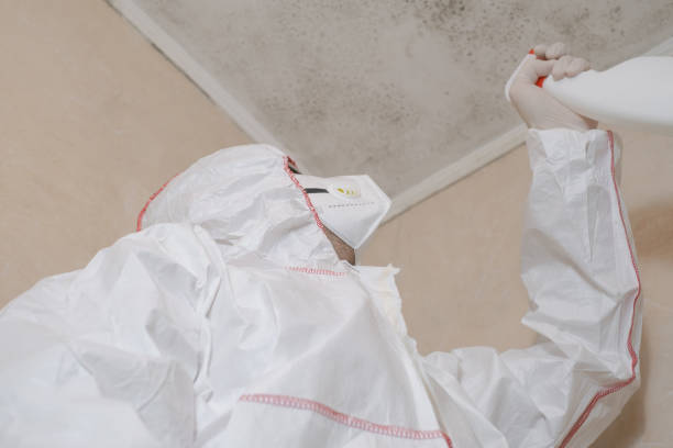 Best Mold Remediation  in Sixteen Mile Stand, OH