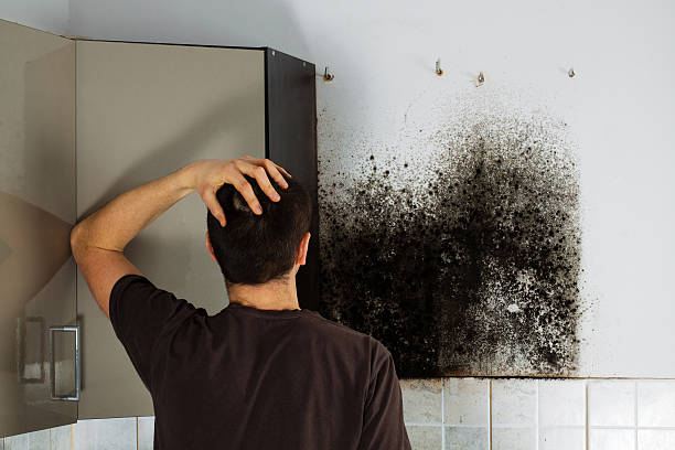 Best Crawl Space Mold Removal  in Sixteen Mile Stand, OH