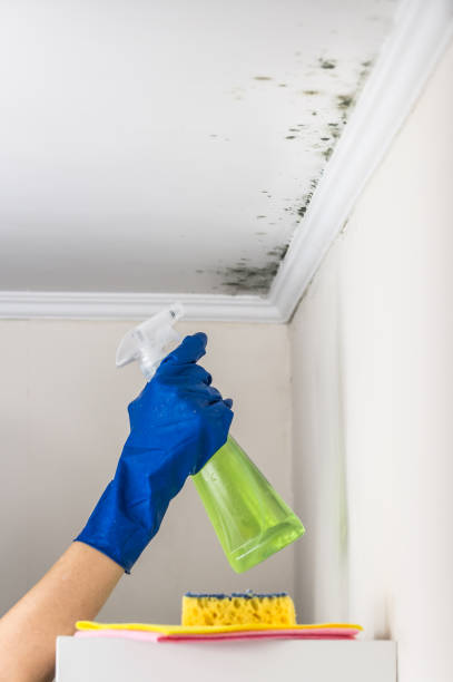 Water Damage Restoration in Sixteen Mile Stand, OH